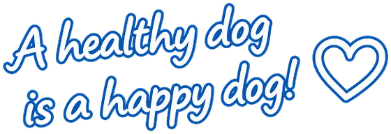 A healthy dog is a happy dog!